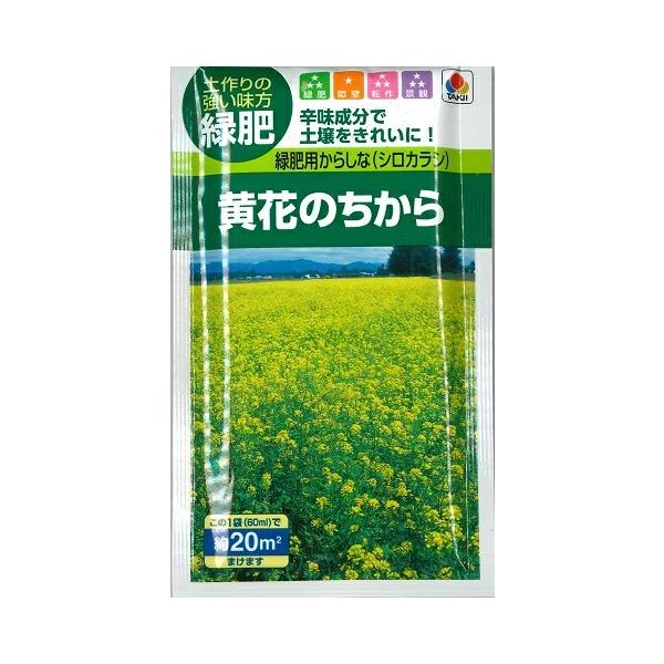 ●初期生育が早く、短期間で高い収量が得られます。●すきこんだ後の分解も早いです。●生物くん蒸作物として、トマト青枯病やホウレンソウ萎凋病の抑制効果があります。●きれいな黄いろの花が咲くので、景観用にも最適です。