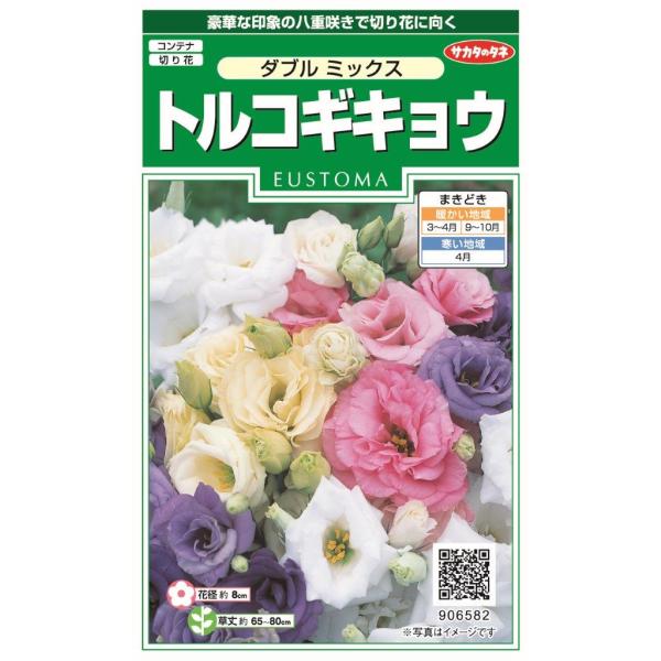 ［ジュン］8/10発送80サイズトルコキキョウ★希望有り suzunoen_kikyou-doublemix1