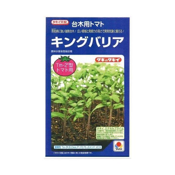 ●青枯病の汚染度が高い圃場でも、従来品種より安定した栽培が期待できる。●草勢は初期から強勢で、栽培後半まで安定する。●根が土中に深く入り根域が広く、発根力にすぐれ、しおれに強い。●スタミナがあり長期栽培にも適する。