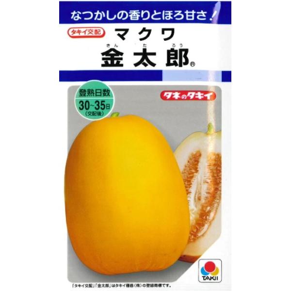 ●果重400g程度。●俵形で果ぞろいが良好。●果皮は橙黄色。●つやがあり、外観が鮮やか。 ●果肉は白肉。マクワ特有の肉質で香りがあり、甘みも強くて食味がよい。 ●低温・少日照下でも雌花の充実 がよく、着果が安定する極早生の多収種。 ●マクワ...