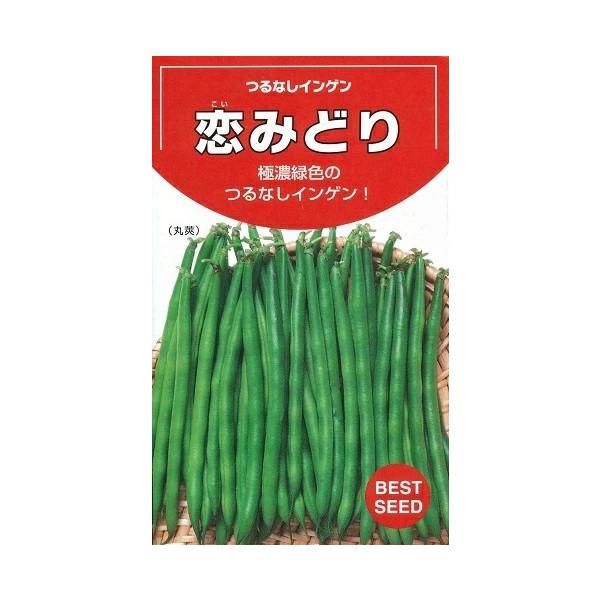 ●莢色が極濃緑で、商品性の高い莢形質をもつ品種。●莢は丸莢でスジなしタイプ。●莢長は14cm程度でそろいがよく、曲がりも少ないため秀品率が高い。●草丈は50cm程度のつるなし種で、葉の大きさは中程度。●風味豊かで食味がよい。●草勢が旺盛で、...