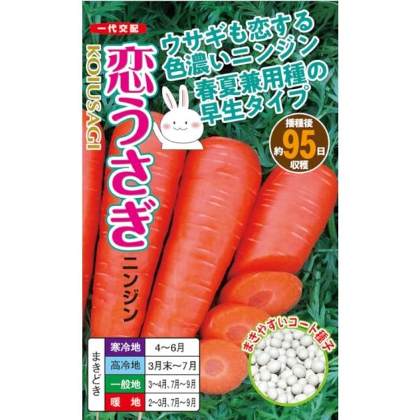 ●95日タイプの早生でありながら裂根が少ないため非常に収量性が高い。●また、優れた揃い性も兼ね備えており、規格外品によるロスも少ない。●草勢が強く、立性にも優れる。●葉軸がシッカリしているので機械収穫に好適。●ただし葉の耐寒性は強くはないの...