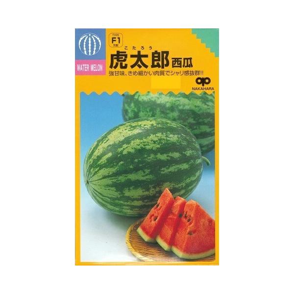 ●海外の種苗会社にて育成された、果形、糖度、肉質など全てに差別化のできる優良種。●果は短楕円形の特異な外観で、果実の肥大は良好。●揃いの良い早生種。耐病性で草勢は中程度ながら、ツル持ち良く収穫後まで続く。●果肉は濃桃紅色で糖度12〜13度と...