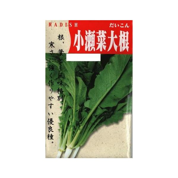 ●宮城県伝統野菜の葉を食べる大根です。●晩夏まきし、草丈70〜85cmで収穫します。●漬物にすると独特の風味があります。●別名「おとり葉大根」として根こぶ病のクリーニングクロップとしても利用が可能です。※「おとり葉大根」としての効果は根こぶ...