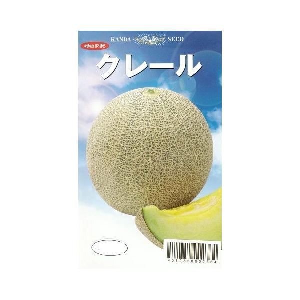 ●草勢はやや強め。●中葉で主枝はやや太く、葉柄はやや短めでコンパクトな草姿になり、作業性が良い。●雌花の着生・着花が優れ上物率が極めて高く、収益性が高い。●果実は1.5〜1.7kgの正球形で変形化がなく揃いが良い。●果皮は明灰緑色で、ネット...