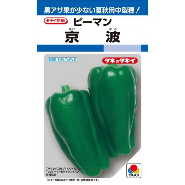 野菜種子 ピーマン「京波」 500粒（タキイ種苗）【送料込み】 きょうなみ キョウナミ 夏秋用 中型 多収 低温伸長性 耐暑性 家庭菜園