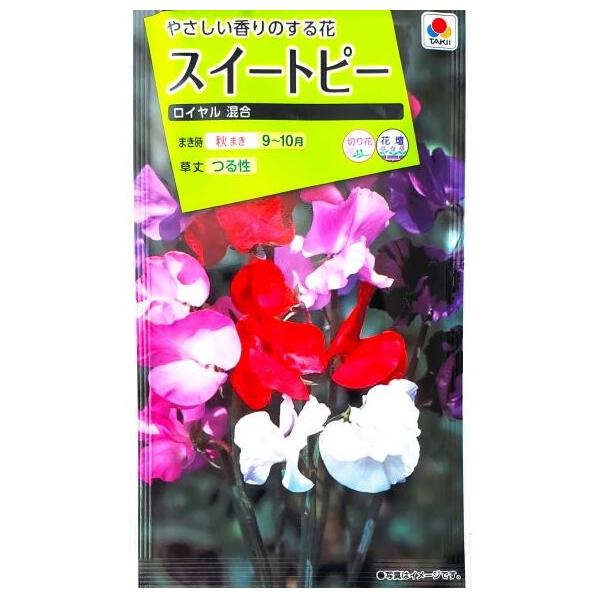 ●特に巨大輪で、他の品種より花茎が太くて長いのが特長。●春咲きで高性の人気品種です。●花色を多く含む混合で、芳香もあります。