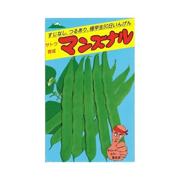 ●つるありインゲンの中では、最も極早生で、播種後50日位で収穫できます。●莢は長さ20cm巾2.5cm位の超巾広で筋がなく、大莢になってもやわらかく、品質・風味とも極上の大平莢種。●莢は低節位から着き、長さ15cm、巾1.5cm位の若莢から...