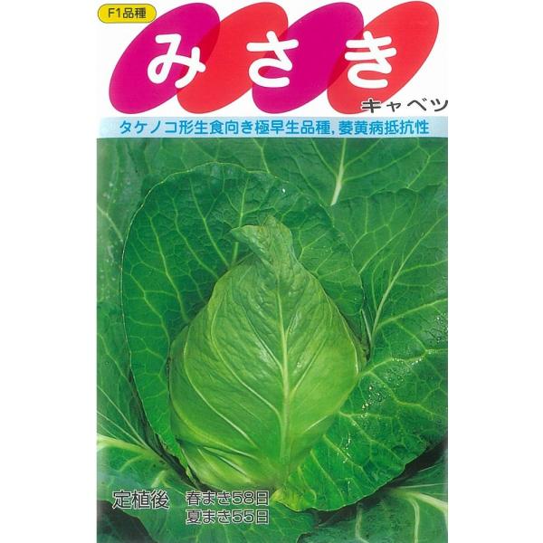 ●たけのこ形の高品質極早生品種で春播きや夏播きに適する。●萎黄病に抵抗性を持つ。●球重1.2kgでよく揃い、しまりがよい。●葉肉やわらかで食味よく、生食に適する。●草姿は開帳性だが外葉は小さく密植ができる。＜適する作型＞●北海道、東北、高冷...