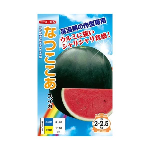 ●草勢は中程度。●ハウス盛夏穫りなど従来のブルームレス小玉系の品種では栽培できなかった高温期においても裂果やうるみ果の発生が少なく秀品率が極めて高い。●低温や着果数不足の場合でも空洞果の発生が従来品種に比べて少ない。●果実2.0〜2.5kg...