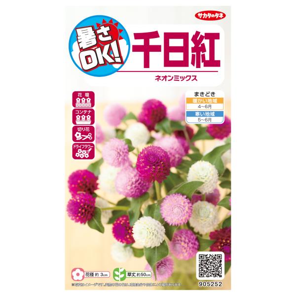 ●ネオンのように輝くピンク系の花と白花の混合です。●切り花にも向く茎の硬さが自慢の品種です。●真夏の暑い時期でも元気に咲き続けます。●株本がしっかりしていて倒れにくく、ドライフラワーにも利用できます。●農林水産省登録品種 品種名：掛川DA1...