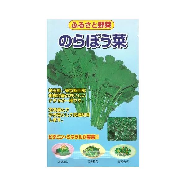 ●摘んでからしおれるのが早いので、一般のスーパーや市場ではなかなかお目にかかれない貴重な野菜です。●晩生種で、寒さに強く、3〜5月にとう立ちする花・茎を次々摘み採り食用にします。●春先、最初のトウが大きく育ったら摘み取り、以後、伸びてくる脇...