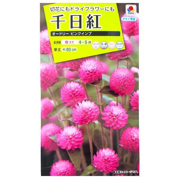 ●茎は直立して適度に枝分かれし、ほとんどの枝に花をつけます。●暑さに強く、ピンクで約2cmの小さな花を多数つけます。●ドライフラワーにして、色々な装飾に使うこともできます。
