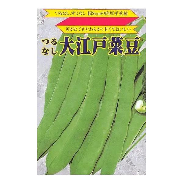 ●草丈は50〜60cm程度。●莢は肉厚で莢幅約2cm、長さ約15cm程度。●一般的に販売されている品種に比べて、莢がすごく柔らかいのが特徴で、甘みが強く、採り遅れても硬くなりにくい。