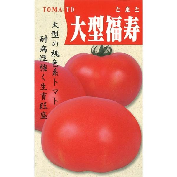 ●トンネル早熟、露地、雨除け栽培に適する早生種。●果実は桃色で、豊円腰高の美果。●草勢は中位で、露地栽培でも異常主茎の発生しにくい品種で、空洞果の発生も少なく栽培は容易。●平均果重250g前後の昔ながらの豊産種。●甘さ控えめでトマト特有の香...