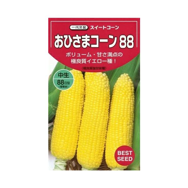 ●粒皮は特にやわらかく、糖度が高い食味重視の極良質イエロー種。●熟期は中生。●中間地のマルチ栽培では、 播種後88日程度で収穫ができる。●中間・暖地では、7月下旬〜8月中旬まき10月収穫の露地抑制栽培も可能。●雌穂は、苞葉付きで420g程度...