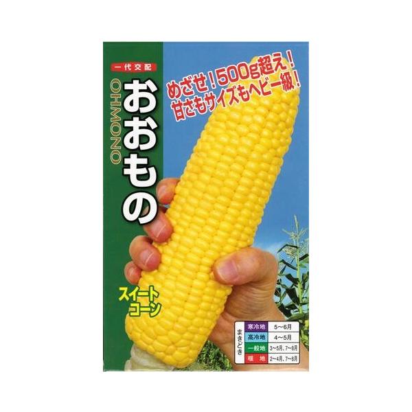 ●糖度20度前後を安定して狙え、食味が極めて良い。●皮付穂重500g以上を狙えるジャンボサイズ。●粒皮は鮮や 微かな黄色で柔らかく、かつ、しなびにくい。●粒列は18列前後。●先端不稔は非常に少ない。●一般地のマルチ栽培で播種後88日前後で収...