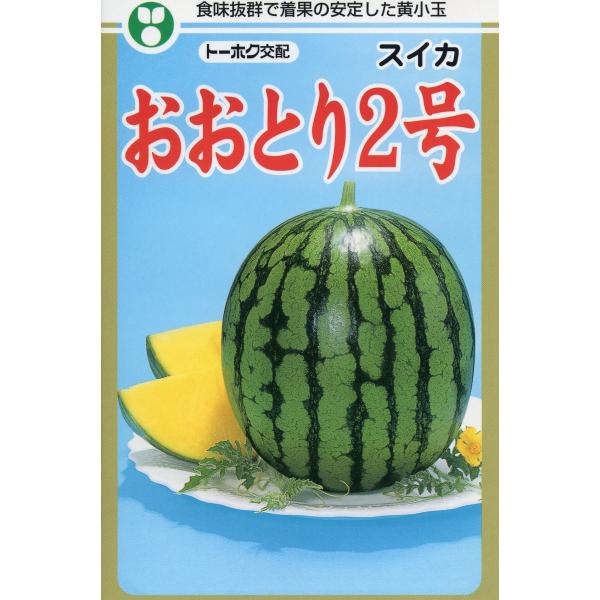 ●雌花の着生、低温期での花粉の発生ともに良く、着果のきわめて安定したスイカでつるぼけの心配はほとんどありません。●登熟日数は、5月上旬どりで交配後40日程度の極早生種です。●果実は2〜2.5kg程度の高球形で、変形果の出にくい小玉スイカです...