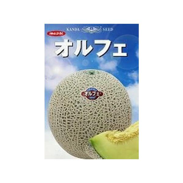 ●草勢は強。中大葉で主枝はやや太い方です。●雌花の着生・着果が優れ、裂果や変形果がなく、上物率が極めて高い品種です。●肥大は栽培条件により異なりますが、1.5〜1.8kgの正球形になり、稜角果はありません。●果皮は灰緑色で、ネットの盛り上が...