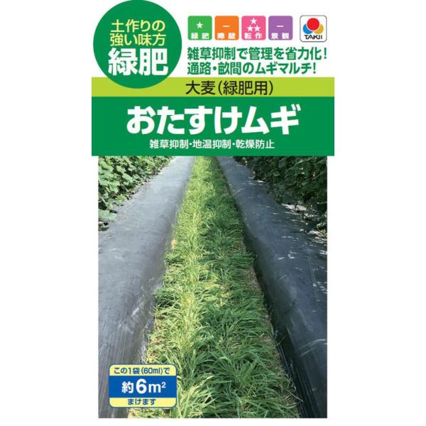 ●早枯れタイプのムギマルチで雑草抑制。●発芽・初期生育が早く、早期に地表を被覆します。●枯れ上がりが早い為、主作物と競合しにくいです。●自然に枯死するため、片付けの手間がかかりません。