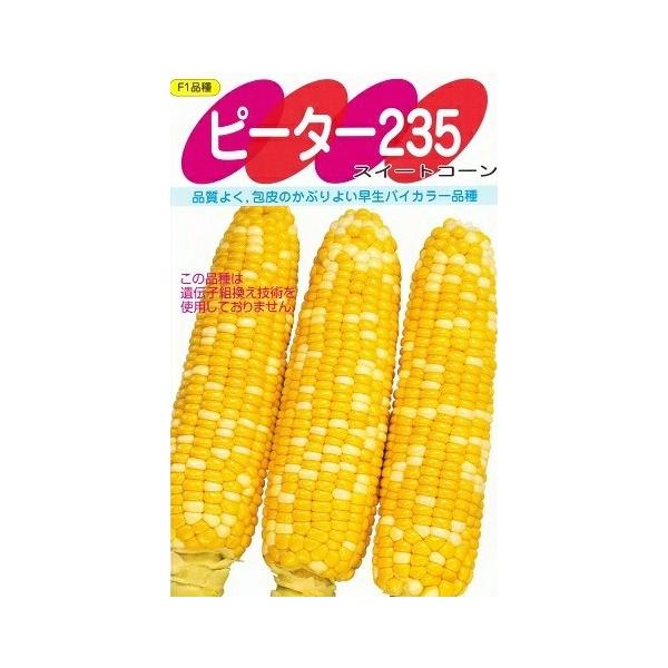 ●熟期は81日程度の早生品種。（一般・平坦地・露地マルチ栽培）●雌穂は400〜450gと大型でよくそろう。●先端不稔は非常に少なく、どの作型でも安定している。●ハウスから露地マルチ栽培に適するが、とくにトンネル栽培で能力を発揮する。