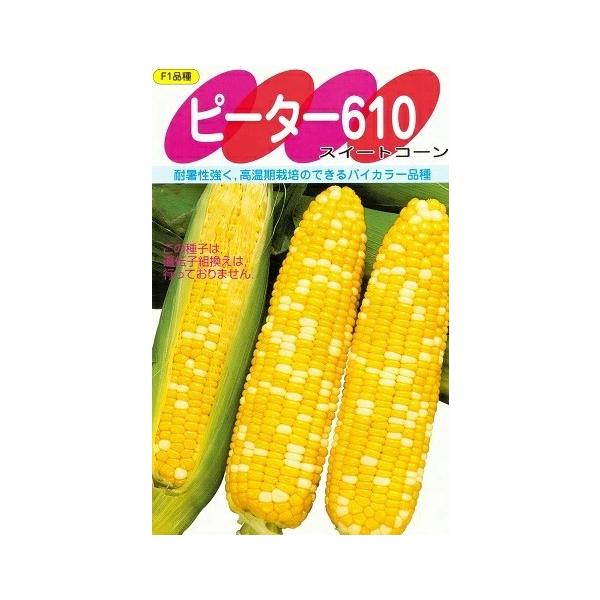●暑さや病気に強く、生育旺盛なので初夏まきして秋どりもできます。●よくしまった色のよい粒が先端までびっしりとそろいます。●温暖地の春まきでは、タネまきから約93日で収穫できます。＜タネまき＞●桜が満開のころを目安にします。●うね間80cm、...