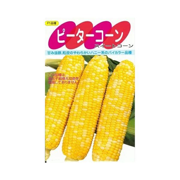 ●黄色粒と白色粒が3：1の割合に混じるハニー系スイートコーン。●熟期は87日程度の中生品種。●雌穂は大きく、400g以上でよくそろい、先端まで着粒よく、秀品率が高い。●発芽、初期生育はよく、やや黄葉の広葉、 茎は中程度の太さで旺盛に生育する。