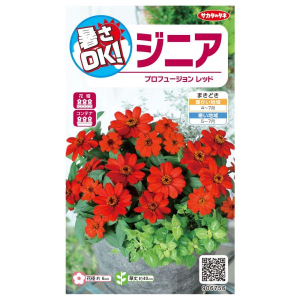 ●サカタのタネ育成の品種。●生育旺盛で暑さや病気に強く、多花性なプロフュージョンシリーズ。●花径約6cmで発色のよい赤色の花が夏から秋まで咲き続けます。＜タネまき＞●発芽適温は25℃前後が必要です。●タネは比較的大きく、タネまき用土を入れた...