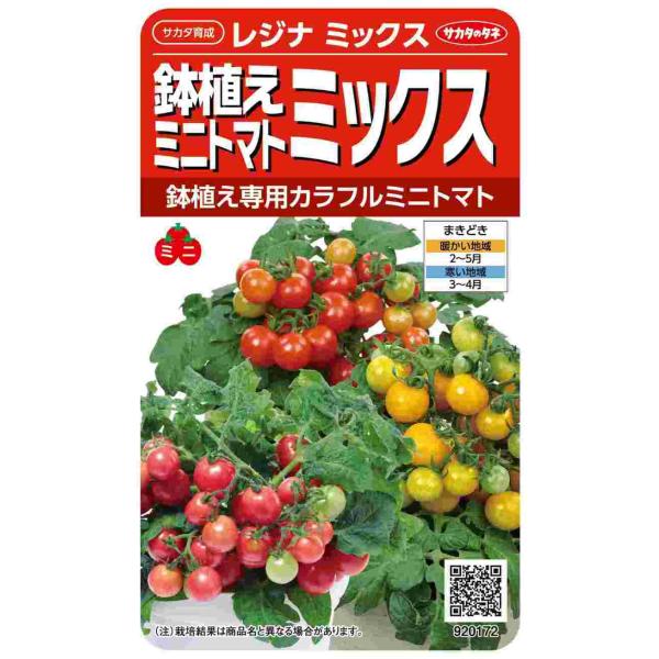 他サイト： 鉢植えミニトマト「レジナミックス」 0.7ml（約75粒）（サカタのタネ）【送料込み】 野菜 やさい 種 たね カラフルミニトマト とまと 放任栽培 家庭菜園の商品画像