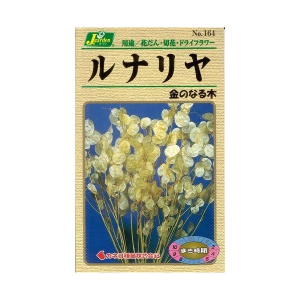 ●別名「金のなる木」とも呼ばれている素晴らしい草花で、ドライフラワーとしても有名です。●美しく芳花の漂う花が散った後、小判にそっくりの実が鈴成りとなります。●さらに陰干しして乾燥させると、銀色のコインによく似た見事なドライフラワーが出来上が...