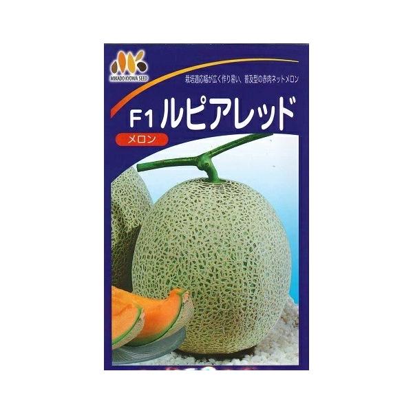 ●ハウスや大型トンネルの這い作り、立作り用で春作、秋作に適する。●ネットの発現は密で安定。●果肉は濃いオレンジ色で、糖度は15度内外。●メルティング質で食味が良い。●つるぼけしにくく、雌花着生、着果がよく、栽培しやすい。●開花後55日内外で...
