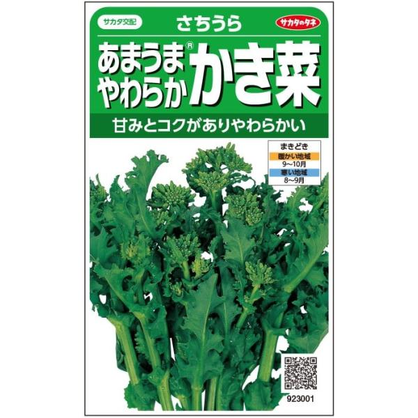 野菜種子 あやうまやわらかカキナ「さちうら」 7ml（サカタのタネ）【送料込み】 サチウラ かき菜 かきな 耐寒性 長期間収穫 再生力旺盛
