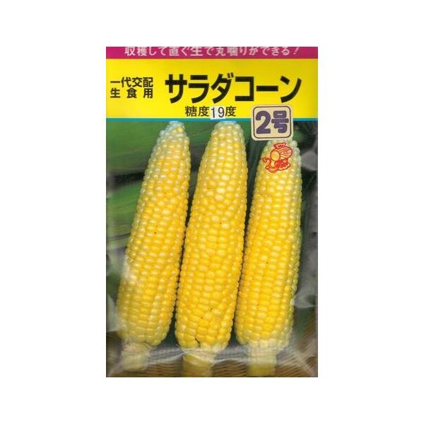 ●フルーツ感覚で生でも食べられる、まさにフルーツコーン。●甘さ、粒皮の柔らかさを追求して生まれた黄色種で、とてもジューシーな食感に仕上がりました。●草丈165cm位で登熟日数は85日位の中早生品種。●穂重があり、2Lサイズ以上で揃い、秀品率...