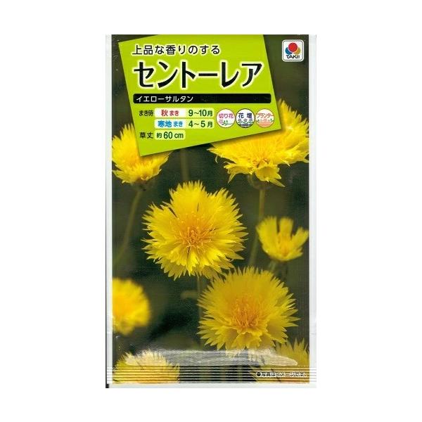 ●花径5〜6cmと大輪で、芳香があります。●草丈は60cm。●立枯病に弱いので、必ず水はけの良い場所へ植えて下さい。