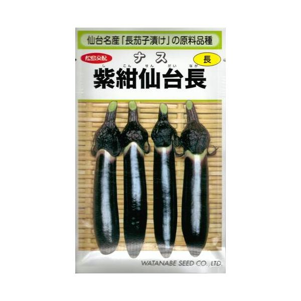 【宮城県仙台名産】野菜種子 ナス「紫紺仙台長」 0.4ml（渡辺採種場）【送料込み】 長茄子 長ナス しこんせんだいながなす 漬け物