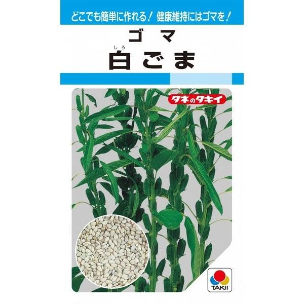●含油率が50％程度の油分の豊富な白ゴマ。●土地を選ばず、どこでも簡単に栽培ができる。●エンドウやソラマメの後作利用も可能です。