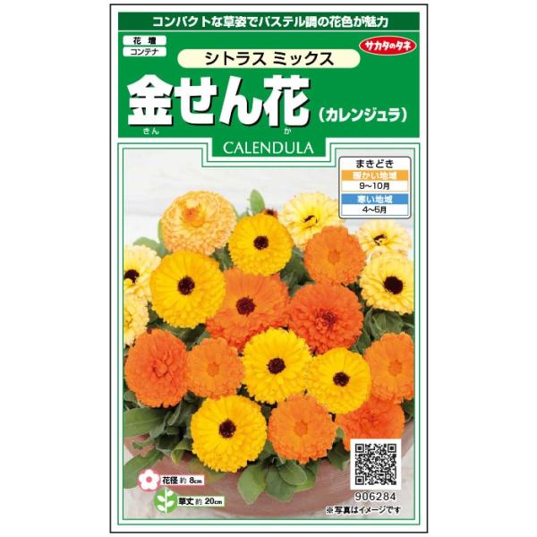 花種子 金せん花「シトラスミックス」 3ml（サカタのタネ）【送料込み】 金盞花 きんせんか キンセンカ カレンジュラ カレンデュラ ポット・マリーゴールド