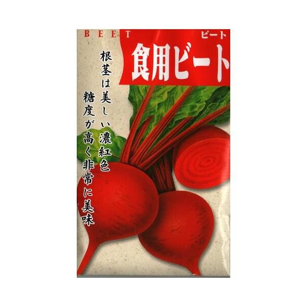 ●ビーツの中でも強健で作りやすい良質種。●葉柄も根も紫紅色に着色し、草丈30cm程度となる晩生種。●根部は整った球形で中まで深紅に着色し、料理の彩りに美しい。●肉質はやわらかく、緻密で甘みが強く、酢漬、ゆでてサラダ料理に利用する。