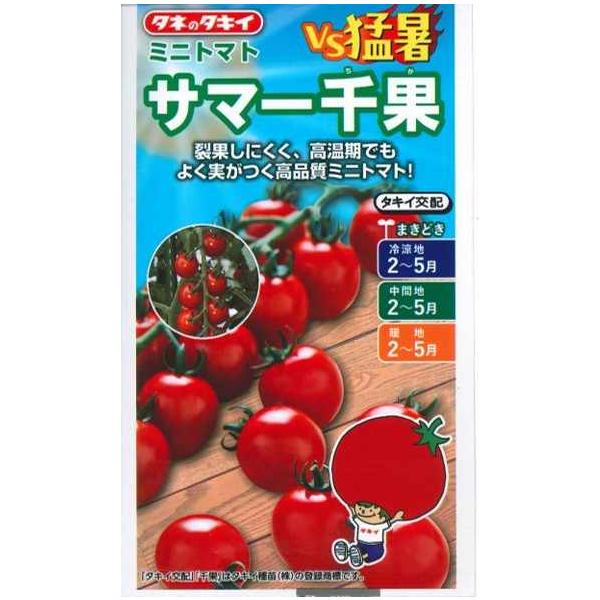 野菜種子 高品質ミニトマト「サマー千果」 7粒（タキイ種苗）【送料込み】 野菜 種 サマーチカ サマーちか 高温着果性 耐裂果性 複合耐病虫性 家庭菜園