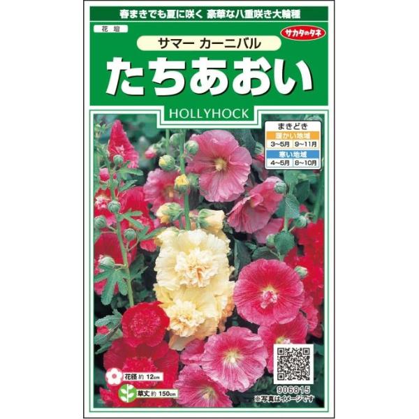 ●花径約12cmの大輪種で、八重咲の花を多数つけます。●春まきでも年内に開花する性質を持つ品種です。●草丈約150cmで、地際から力強い茎が伸び、花が咲きます。●ほうふな色彩の混合種です。