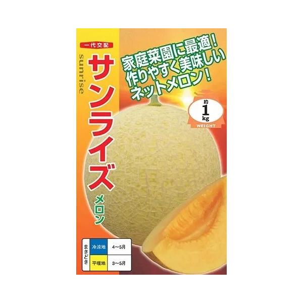 ●生育旺盛で、うどんこ病・べと病に耐病性の地這栽培用の赤肉メロンです。●果実は1〜1.3kgで淡い黄色の果皮にネットが入ります。●果肉は厚く、淡いオレンジ色。●トロリとろける食感で、糖度は14度程度に安定。●甘い香りが広がります。●交配から...