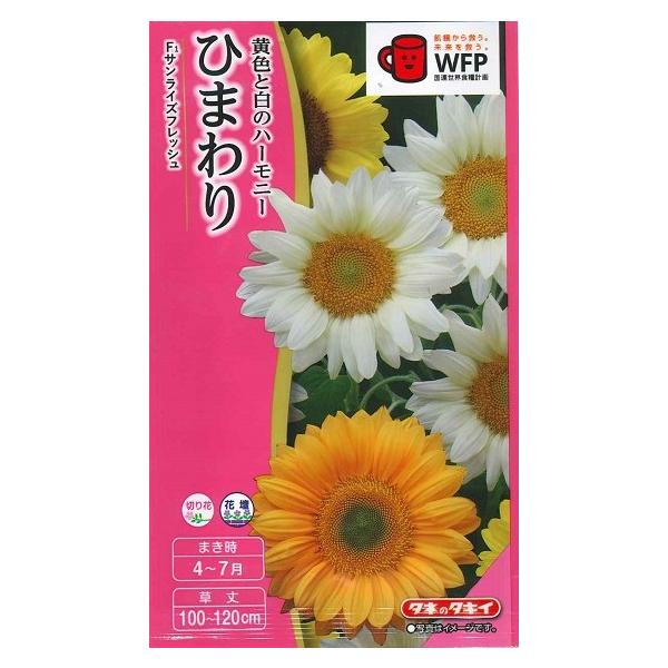 花種子 ひまわり「サンライズフレッシュ」 2ml（約10本分）（タキイ