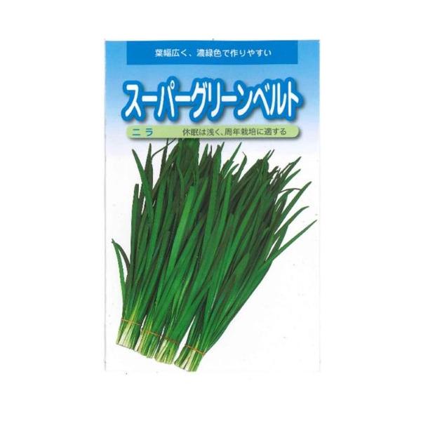 野菜種子 ニラ「スーパーグリーンベルト」 20ml（武蔵野種苗園）【送料込み】 韮 にら 野菜 やさい 種 たね 周年栽培 市場性 高秀品率 家庭菜園 園芸