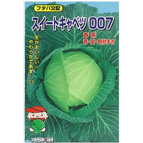 ●春系中早生種。●三季まきできるタイプ（夏まきで定植後65日前後で収穫期に入ります）。●平玉で肥大性に優れ（株張りは一般種よりやや大きい）1.5kgくらいになります。●葉質は春系と冬系の中間タイプで歯切れ良く、糖度が高く、食味重視型のキャベ...