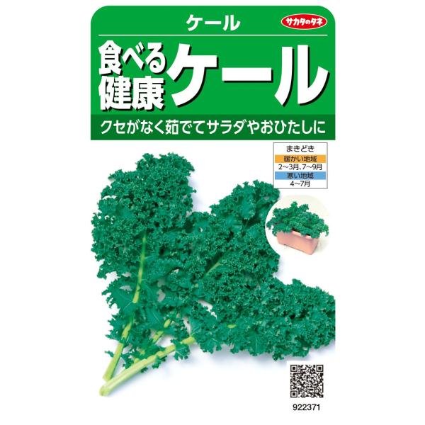 野菜種子 ケール「食べる健康 ケール」 5ml（サカタのタネ）【送料込み】 健康野菜 青汁 家庭菜園 プランター栽培