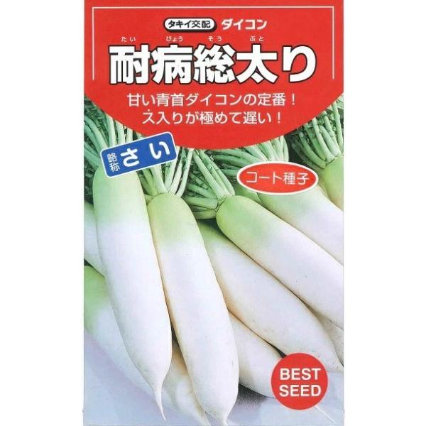 ●作りやすく、特にス入りが遅い。●尻の肉付きがよく、肌は白くてつやがあり、青首とのコントラストが美しく、肉質も上々！●秋の適期栽培では根長38cm、根径8cm程度になる。
