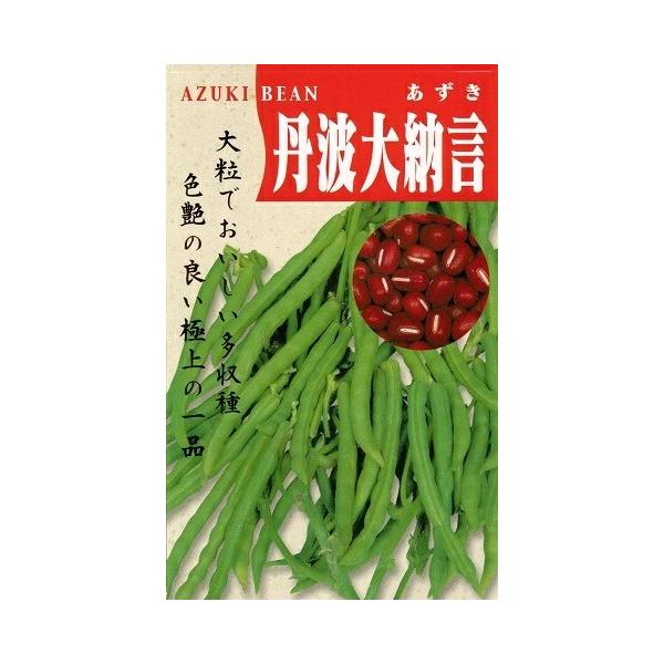 ●子実は長楕円形の大粒種。●種皮はアズキ色といわれる鮮やかな赤紫色。●草丈は60cm程度で茎太。●分枝数が多く、多収の晩生種。●粒のそろいとツヤがよく、煮ても皮切れが少なく、香りがよい。