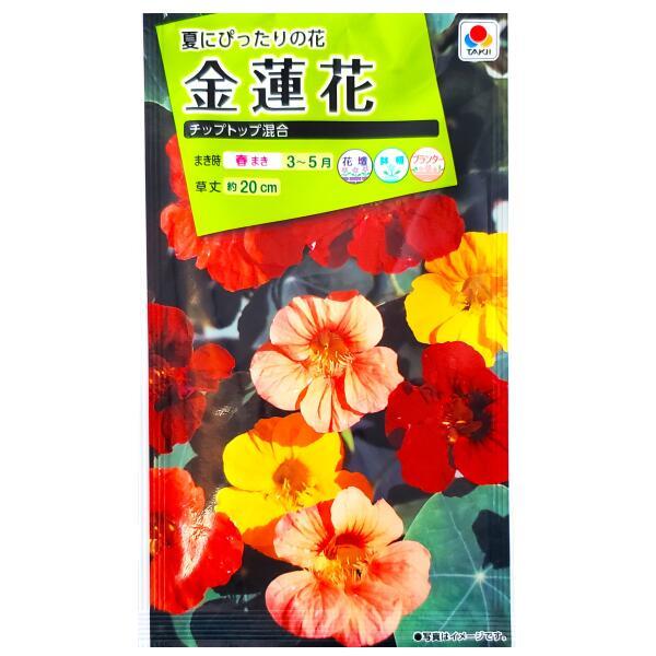 ●花も葉も楽しめるナスタチュームです。●美しい濃緑の葉と鮮やかな花色とが見事に調和した混合種です。●花は葉の下に隠れず、草姿もコンパクトにまとまる極早性の矮性種です。