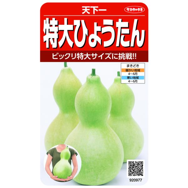 ●日よけ・観賞用のほか、果実を加工して置物やおもちゃにして楽しめます。●果実は最大で長さ50cm以上になります。●大ものを作るには1株1果とし、果実をネットや台で支えます。※本品種は食用ではありません。