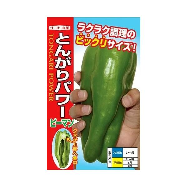 ●ジャンボで果肉は厚く甘味があり、苦みやピーマン臭が少ないため極めて食味良好なピーマン（ジャンボとうがらしとは異なる）。●果長15cm・果径4cm・果重70g前後より収穫となる。●収穫幅広く、小さい段階で収穫しても美味しい。●果実は鮮緑色で...